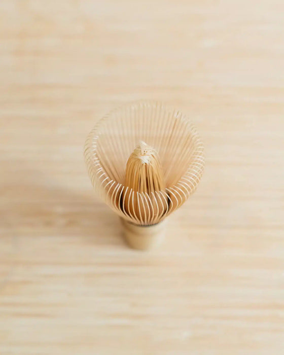 Matcha whisk - Takayama Chasen