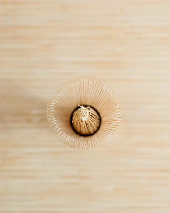 Matcha whisk - Takayama Chasen